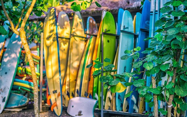 Rack of colourful rental surfboards under tropical plants on a Bali beach