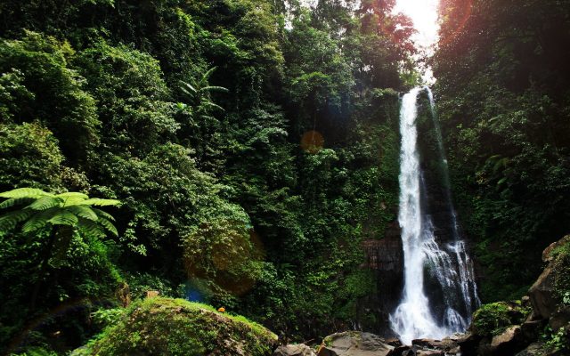 Gitgit waterfall dropping through lush jungle in the hills above Lovina