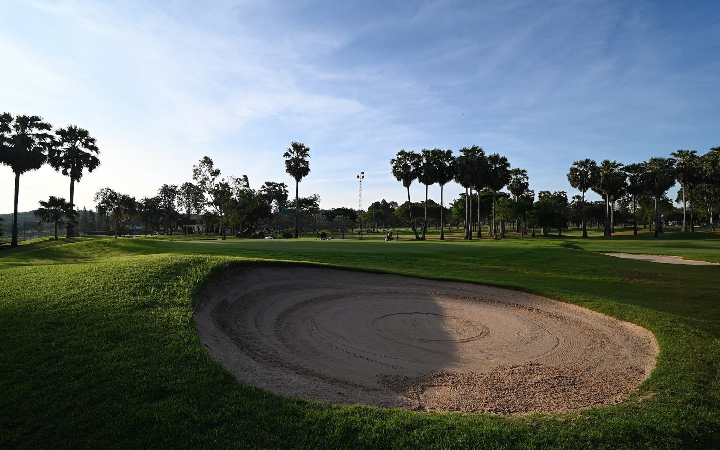 Neatly raked sand bunker on a green fairway lined with palm trees