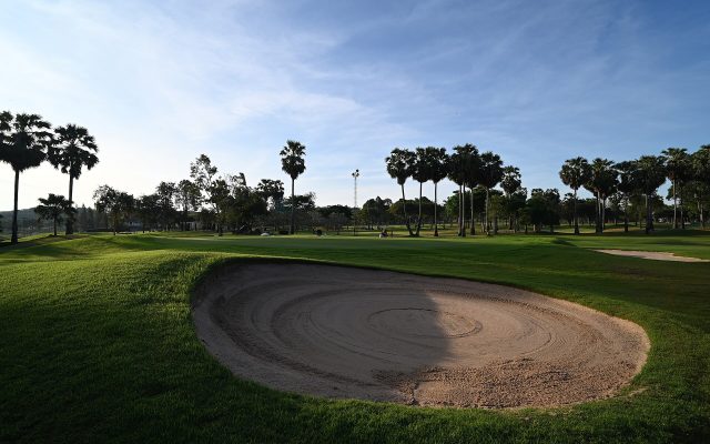 Neatly raked sand bunker on a green fairway lined with palm trees