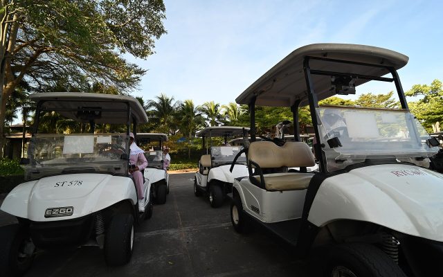 Row of white golf carts parked in the shade of palm trees at a tropical golf club