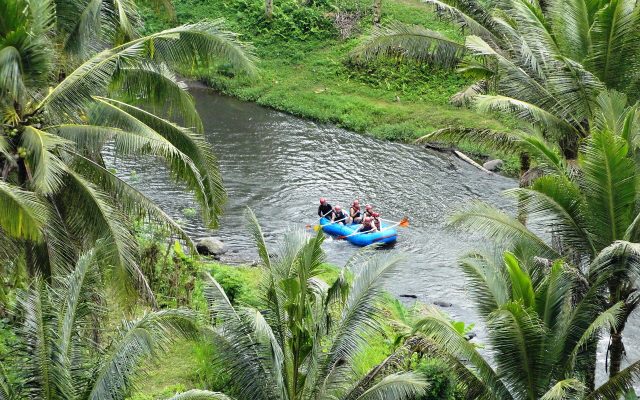 Raft paddling down the Ayung River through the green jungle valley near Ubud