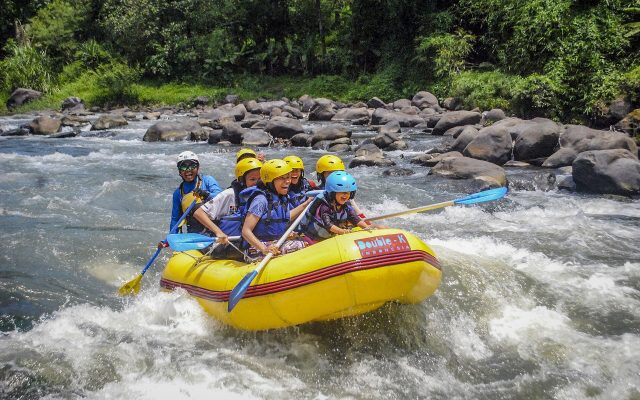Rafting team with helmets and paddles riding a grade 2 rapid on a tropical river in Indonesia